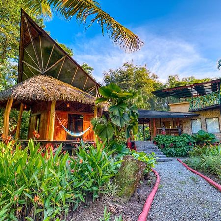 Tree House Beachfront Lodge Puerto Viejo de Talamanca Экстерьер фото