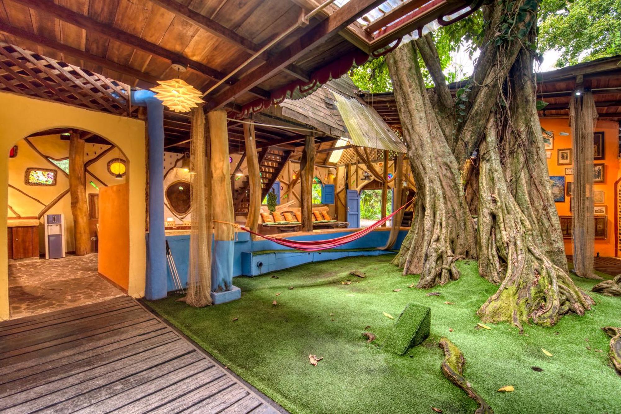 Tree House Beachfront Lodge Puerto Viejo de Talamanca Экстерьер фото