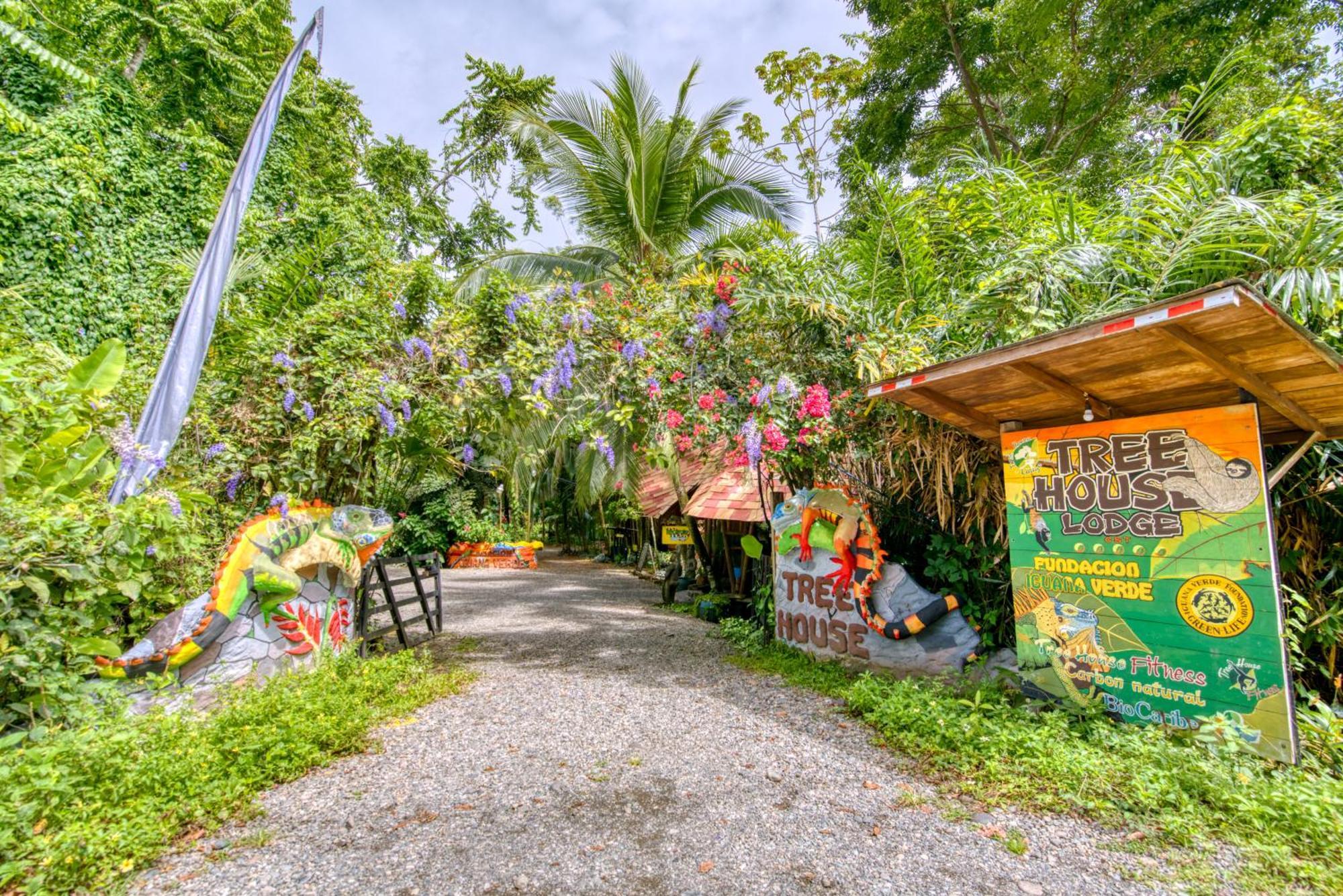 Tree House Beachfront Lodge Puerto Viejo de Talamanca Экстерьер фото