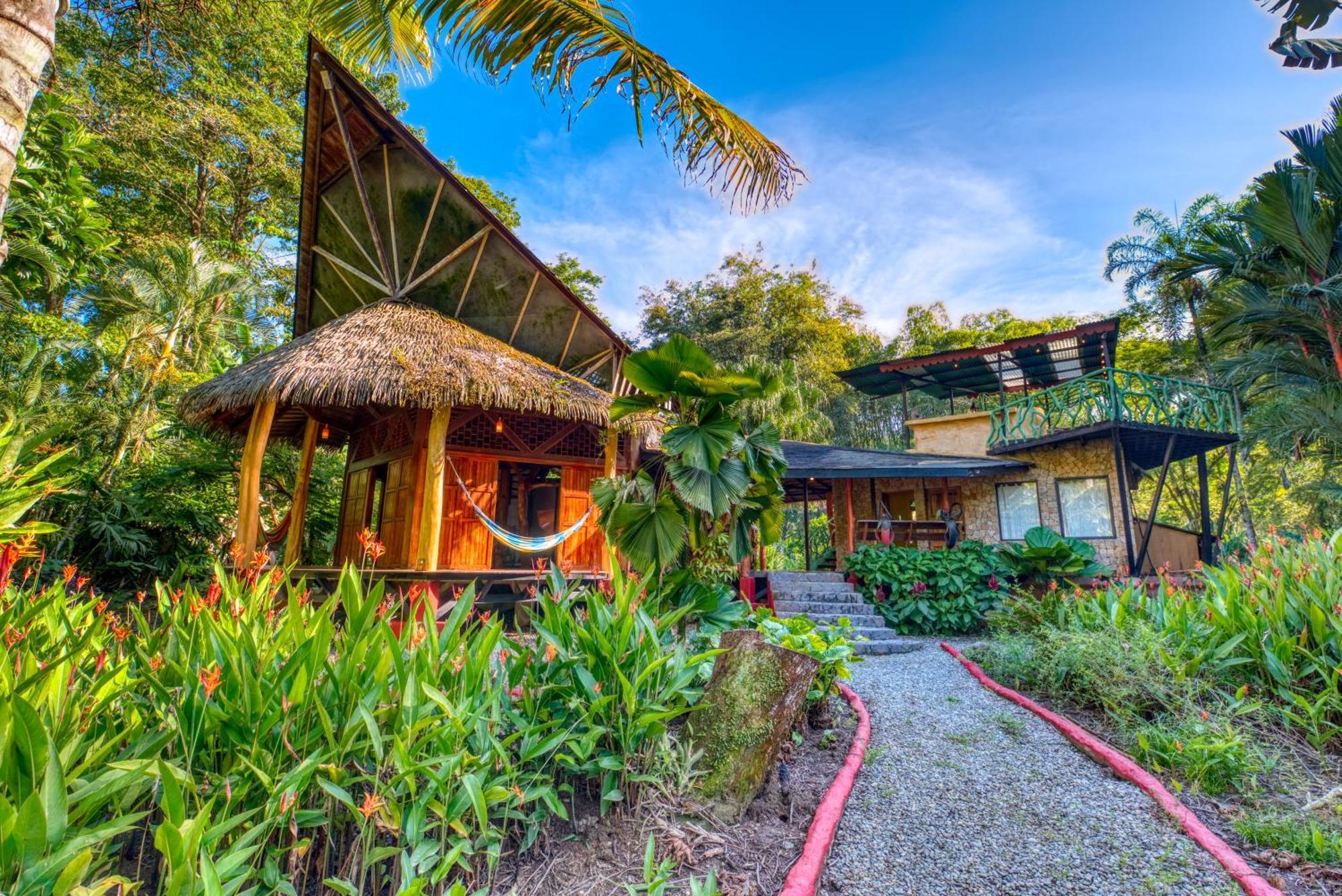 Tree House Beachfront Lodge Puerto Viejo de Talamanca Экстерьер фото