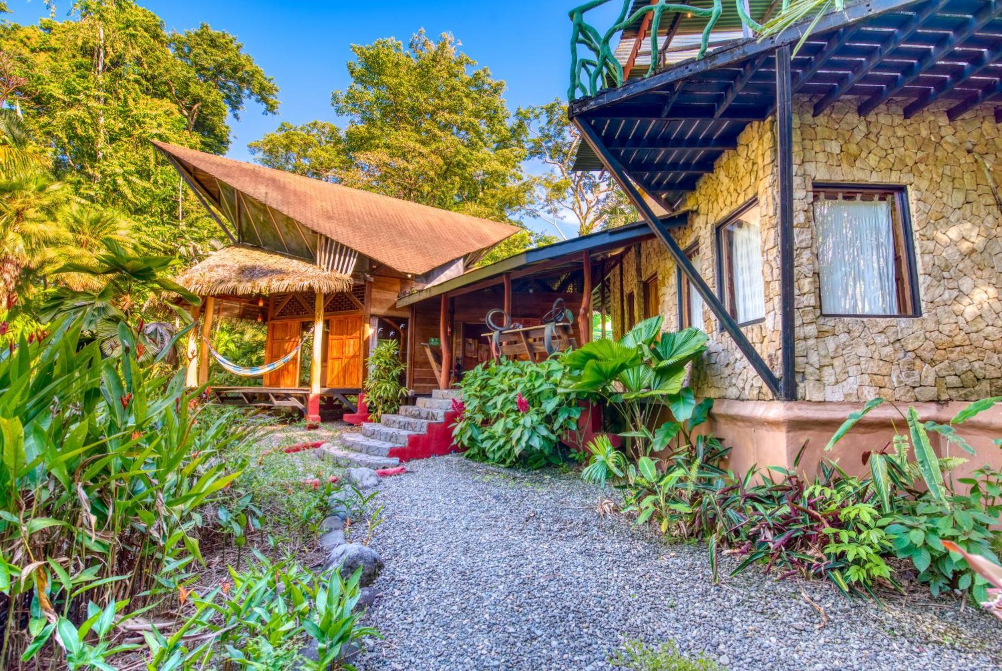 Tree House Beachfront Lodge Puerto Viejo de Talamanca Экстерьер фото