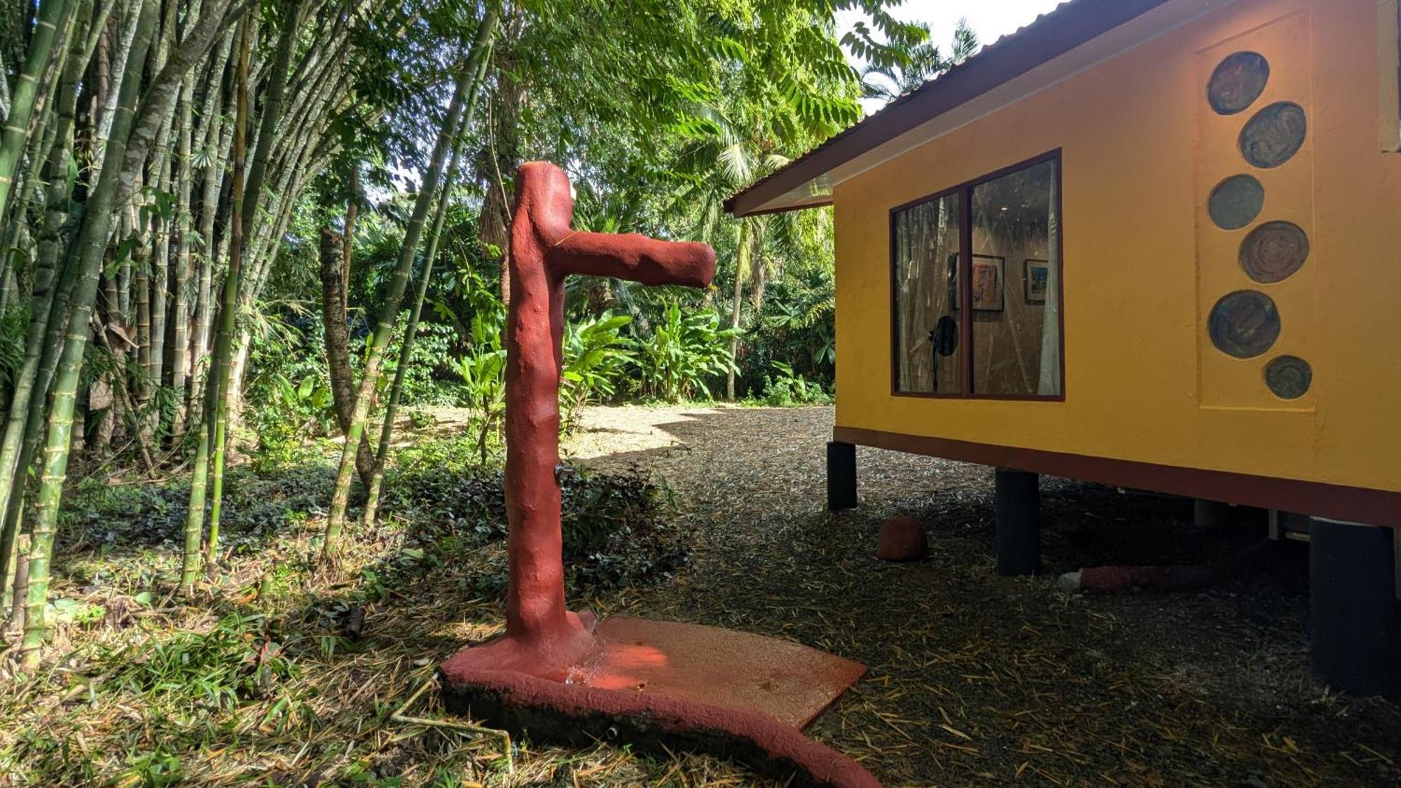 Tree House Beachfront Lodge Puerto Viejo de Talamanca Экстерьер фото