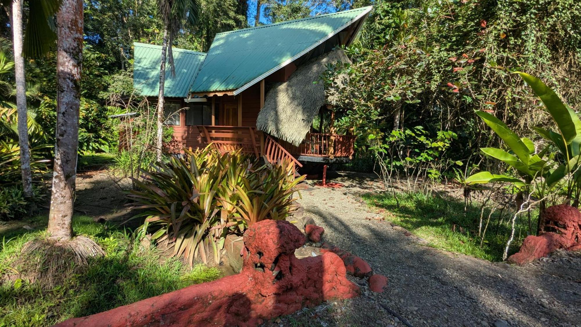 Tree House Beachfront Lodge Puerto Viejo de Talamanca Экстерьер фото
