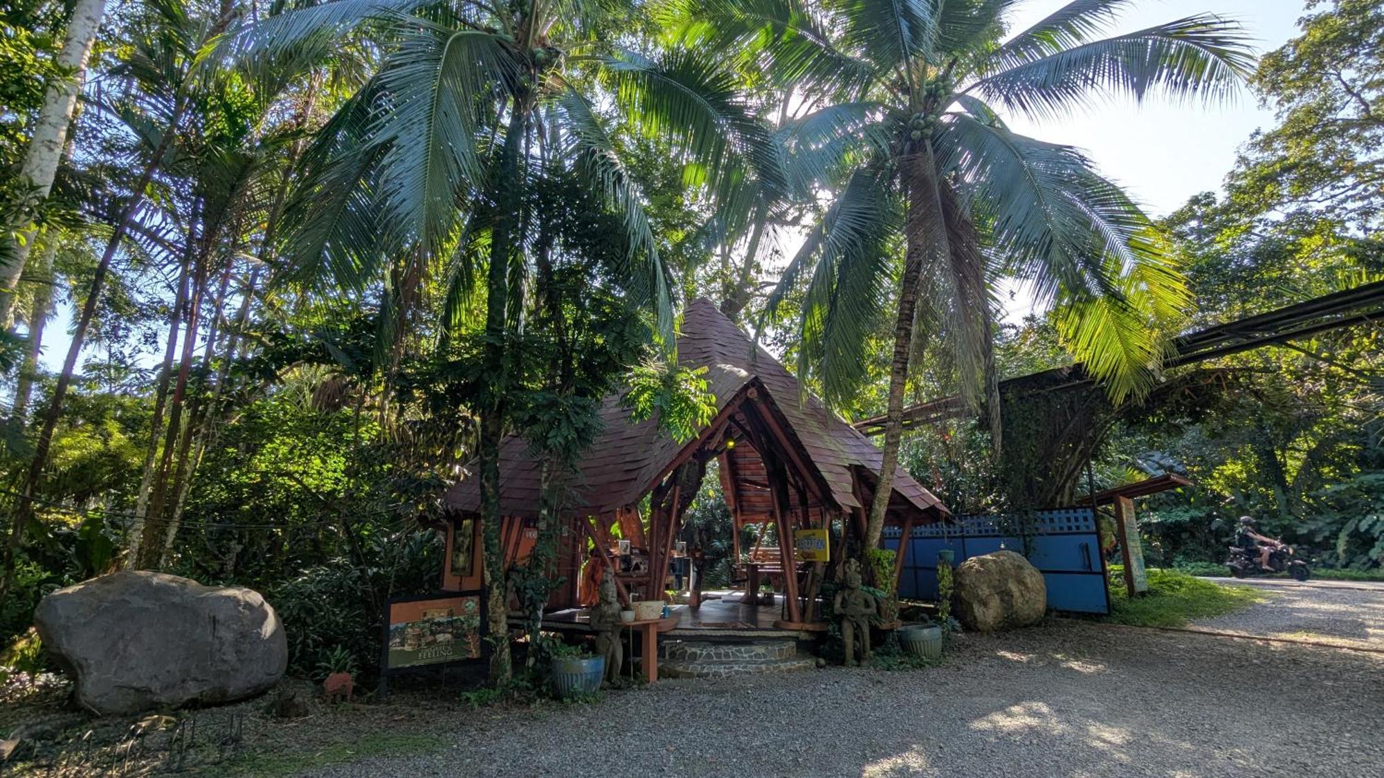 Tree House Beachfront Lodge Puerto Viejo de Talamanca Экстерьер фото