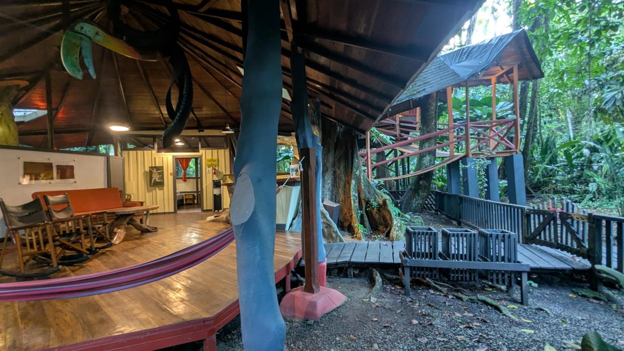 Tree House Beachfront Lodge Puerto Viejo de Talamanca Экстерьер фото
