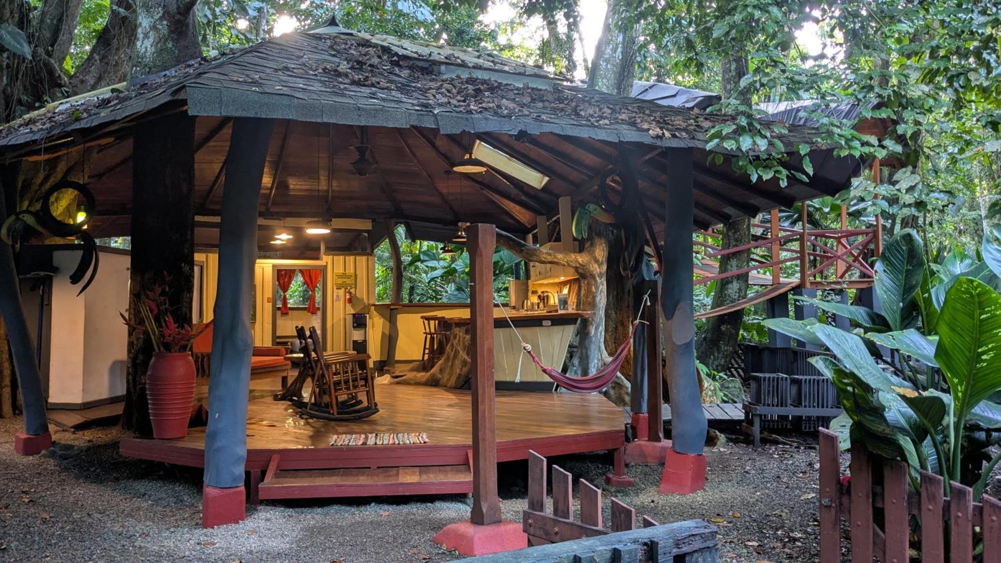 Tree House Beachfront Lodge Puerto Viejo de Talamanca Экстерьер фото