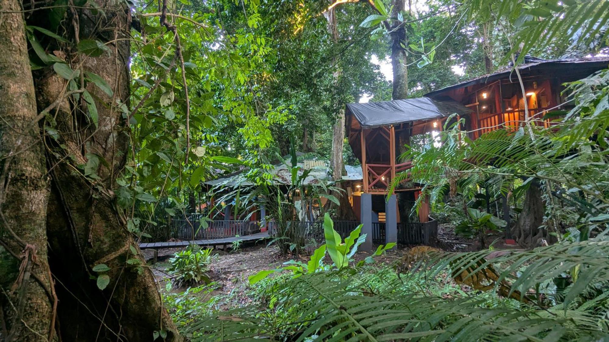 Tree House Beachfront Lodge Puerto Viejo de Talamanca Экстерьер фото